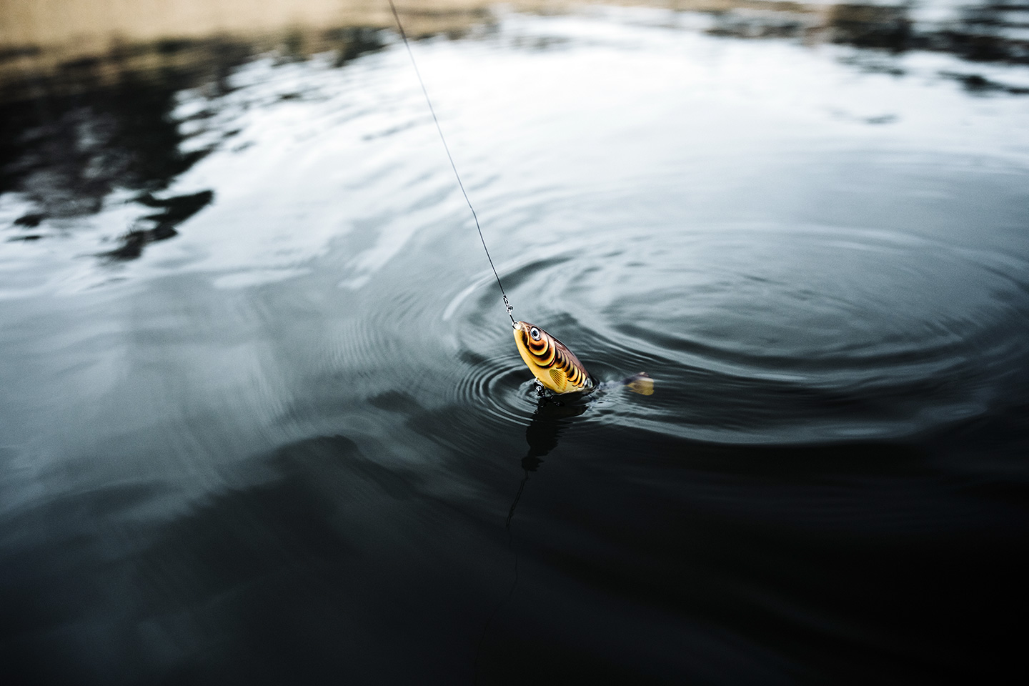 Actualités - Rapala France